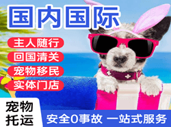 佳木斯航空邮寄国际宠物托运 【国